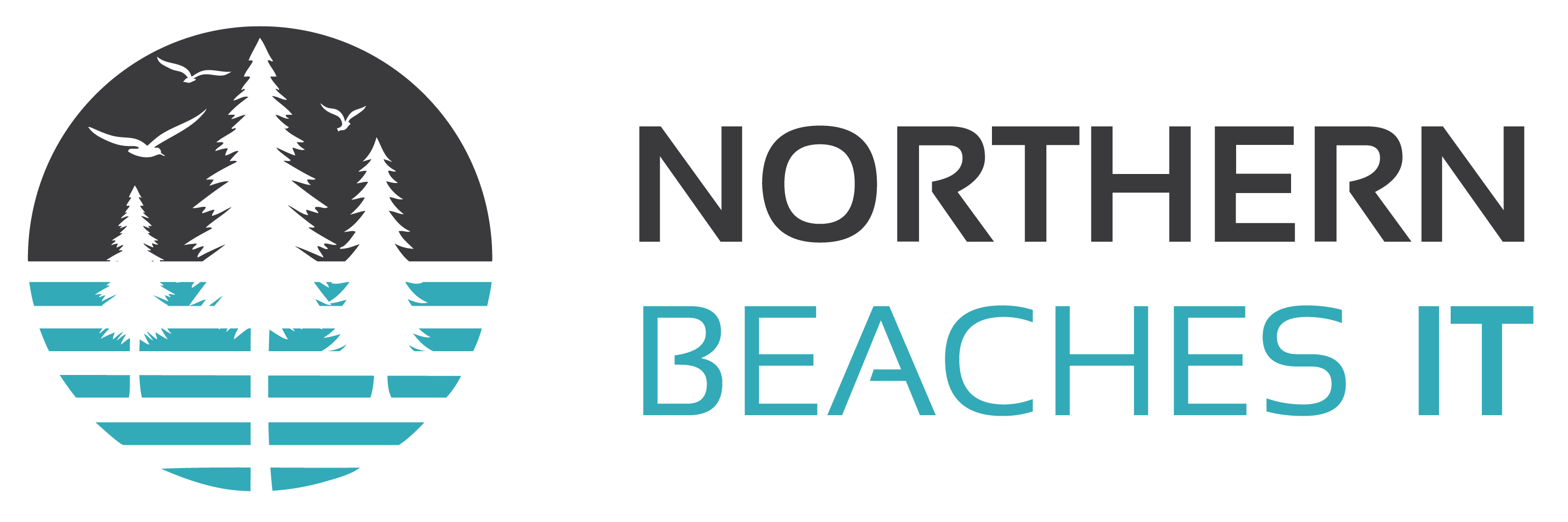 northern beaches IT support